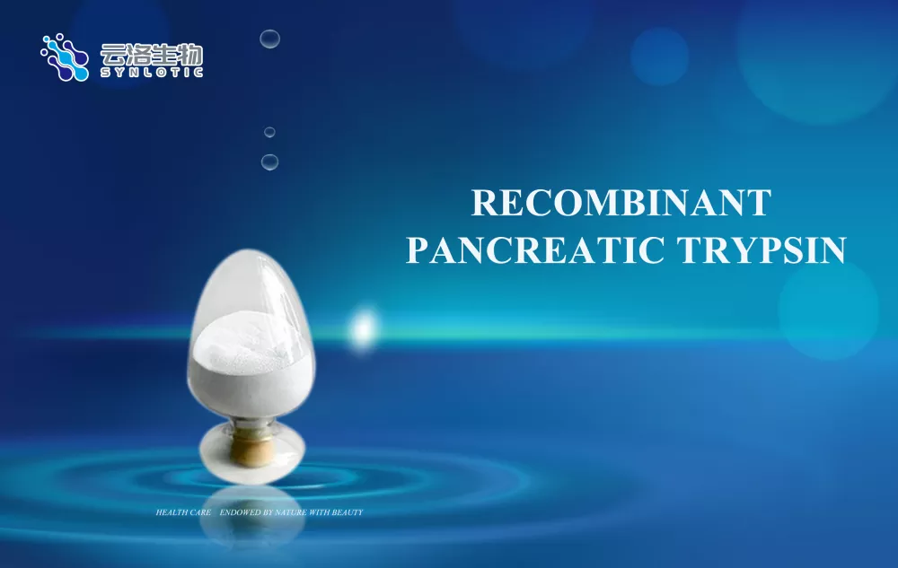 एंजाइमची भूमिका काय आहे?