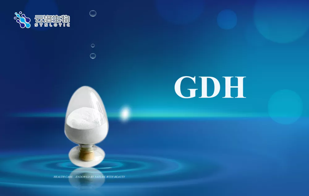 एंजाइमच्या मूलभूत संकल्पना काय आहेत?