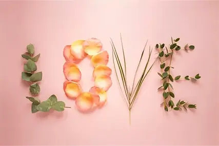 520 कन्फेशन सीझन丨आपण कबूल करण्यास तयार आहात का