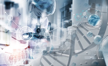 सौंदर्यामागची निवड: सौंदर्य प्रसाधने आणि शाश्वत जीवन यांच्यातील सखोल संबंध